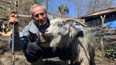 Veysel amca hayalini gerçekleştirdi