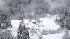 Zigana Dağı’nda oluşan manzara hayran bıraktı