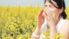 Alerjik hastalıklar neden artıyor?