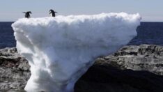 Antarktika’da buzul alarmı: ‘Beklenenden önce eriyebilir’