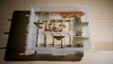 Bilim insanları kansere ve yaşlanmaya çözüm arıyor…