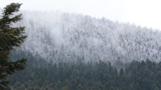 Bolu’nun yüksek kesimlerinde nisanda kar etkili oldu