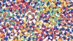 Bu optik illüzyon sosyal medyada çok konuşuldu