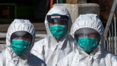 Çin, DSÖ’ye bildirdi: Kuş gribinin A türünün bulaştığı kişi öldü