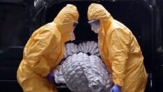 Çinli bilim insanlarından çarpıcı Covid-19 açıklaması