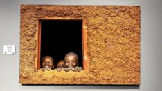 Doğa fotoğrafçısı Süha Derbent’in “Harmoni” sergisi açıldı