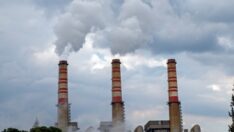 Dünya kömüre veda edemiyor