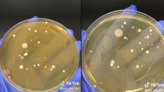 El kurutma makinelerindeki gizli tehlike