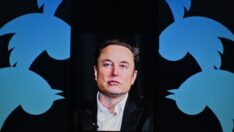 Elon Musk’tan şoke eden Twitter iddiası: “Hükümet, tam erişime sahipti”