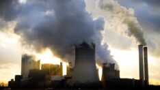 Hava kirliliği, yaşamın her aşamasında insan sağlığına zarar veriyor