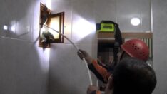 Havalandırma boşluğunda martı kurtarma operasyonu