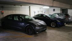 İki otomotiv markasının başı TikTok ile belada