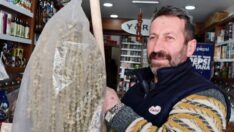 Kuru bamyanın kilosu 1000 lirayı aştı