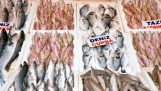 Mersinli balıkçılar: Et fiyatları artınca balığa rağbet arttı