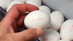 Mikrobiyoloji uzmanından yumurta uyarısı