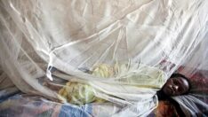 Nijerya’da Lassa ateşi salgını: Can kaybı 144’e yükseldi