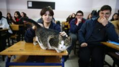 Öğrencilerin hayata döndürdüğü ‘Sempatik’ okulun maskotu oldu