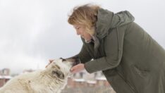 Sahipsiz hayvanlar ‘Gül teyze’nin yolunu gözlüyor