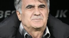 Şenol Güneş: Masuaku oynarsa iyi para ödeyeceğiz