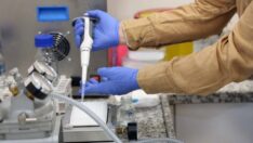 Üç saat içinde mide kanseri tanısı koyabilen yöntem