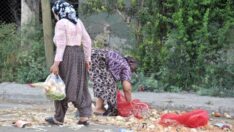 Vatandaş pazardan soğan topluyor