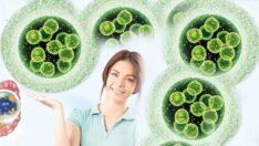 Vücudumuzdaki en faydalı mikroplardan biri: Akermansia