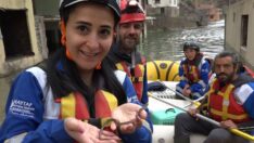 Yusufeli suya gömüldü, hayvanlar için seferber oldular