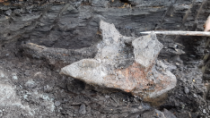 Bilim insanlarını heyecanlandıran keşif: Tam 16 milyon yıllık…