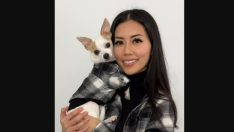 80 bin TL’lik kıyafeti olan influencer köpek lüks hayatıyla dikkat çekiyor
