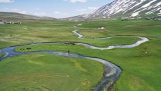 Ağrı’da menderesler güzel görüntüler oluşturdu