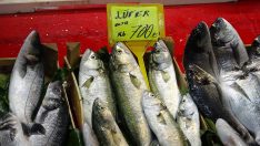 Balık fiyatları fırladı