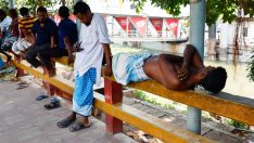 Bilim insanları ölümcül sıcak hava dalgasının nedenini açıkladı