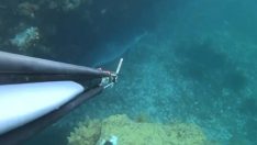 Çanakkale’de sevindiren görüntü