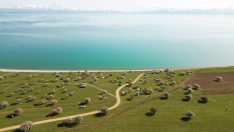 Çiçek açan kayısı ve badem ağaçları Van Gölü’nü renklendirdi