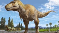 Dinozorlarla ilgili çarpıcı araştırma: ‘Çok zeki değillerdi’