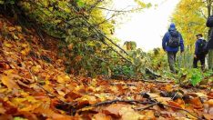 Doğada vakit geçirmek cilde olumlu etki ediyor