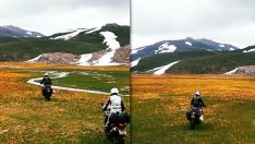 Endemik çiçekleri motosikletle ezdiler