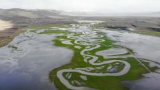 Göle Ovası’nda karlar eridi: Menderesler ortaya çıktı