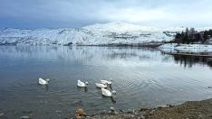 Hazarbaba Dağı ilkbaharda beyaza büründü