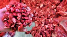 Kasap da isyan etti: Her gün ayrı fiyat, et artık borsa gibi