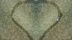 Kızılırmak’ta zehirli güzellik… Görenleri büyülüyor