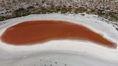Meyil Gölü kızıla döndü