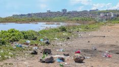 Piknikçiler Dicle Nehri kıyısını çöplüğe çevirdi