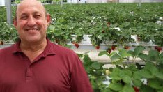 Pilottu, topraksız tarıma başladı