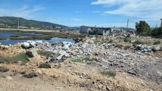 Sulak alanda doğa katliamı… Flamingo cennetini çöplüğe çevirdiler