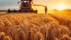 Tarımda üretici enflasyonu martta yüzde 61,87 oldu