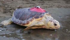 ‘Tuba’dan 3 aydır sinyal alınamıyor