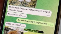 Vitrinde yasaklandı, internete düştü! 17 bin liradan satılıyor