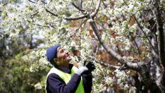 ‘Yeşil adam’ muhtar oldu