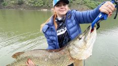 Amatör kadın balıkçının oltasına takıldı: ‘Çok heyecanlandım’